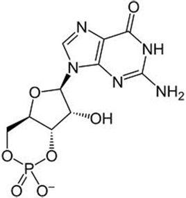 gdp是什么意思二磷酸鸟苷_萃枫苷是什么图片