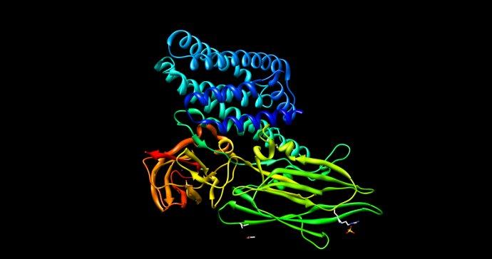bt毒蛋白 搜狗百科