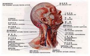 颈动脉窦过敏综合征