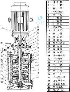 不锈钢立式多级泵结构图