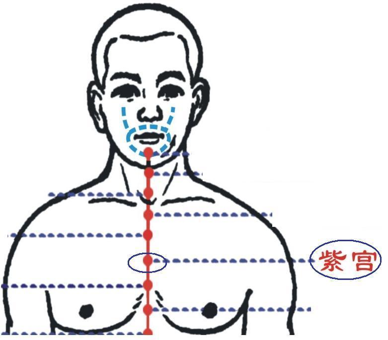 紫宫的准确位置图作用图片