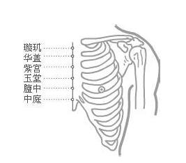 紫宫的准确位置图作用图片