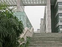 校园景色
