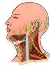 淋巴结充血