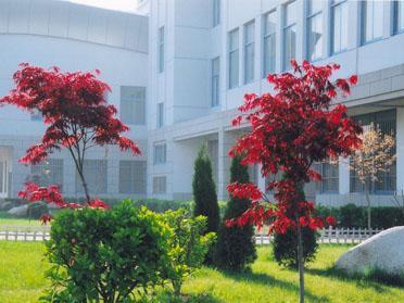 青岛酒店管理学院 0