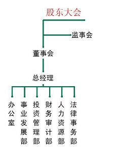 股份有限公司组织机构