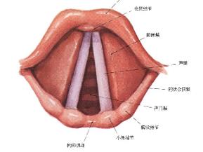 声带麻痹