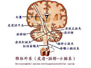 吟诗样语言