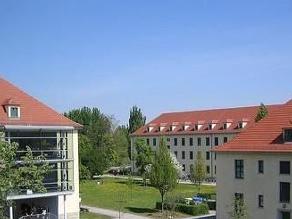 马格德堡大学