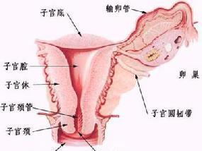 慢性子宫内膜炎