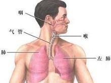 支气管痉挛