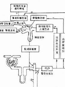 尿偏碱