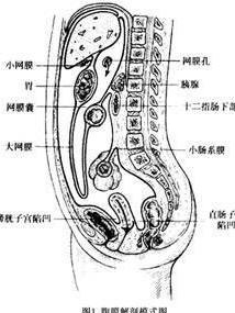 腹膜刺激征