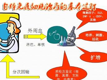 兰大一院肿瘤生物诊疗中心供图