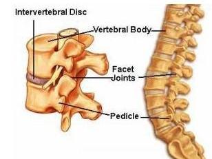 脊柱骨质改变