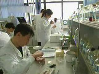 治疗性乙肝疫苗