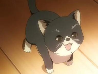 空太