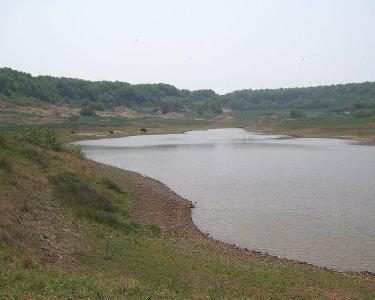 有素以"千岛湖"之称的分水岭水库和旅游度假胜地林东水库;女山湖,七里