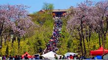芒砀山古庙会