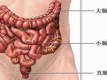 绒毛状腺瘤