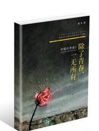 中国式青春2 封面