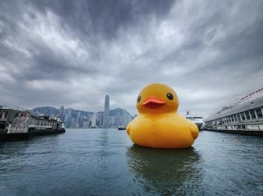 【封面写真】大黄鸭在香港