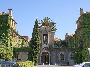 开普敦大学校园风光