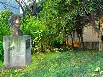 重庆教育管理学校一角