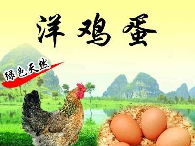 洋鸡蛋