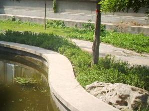 保定市第十七中学