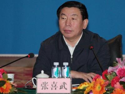 张喜武