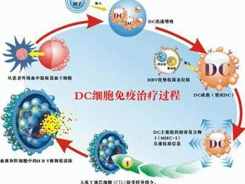 兰州大学第一医院肿瘤生物诊疗中心供图