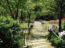 翰林大学校园风景
