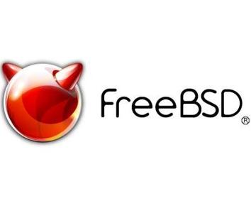 Freebsd команды с дисками