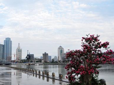 海河美景
