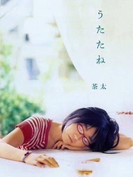 茶太