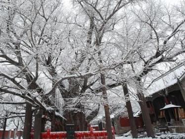 景点