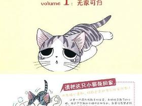 甜甜私房猫漫画版