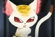 瓜
