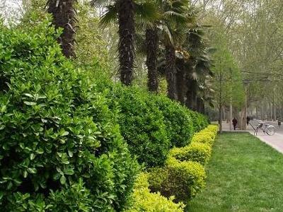 郑州大学软件技术学院