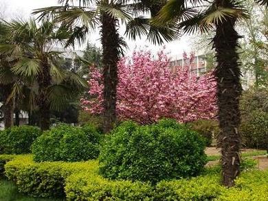 郑州大学软件技术学院