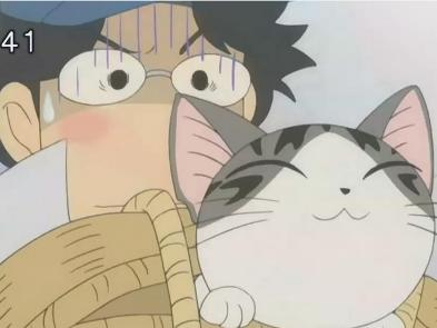 甜甜私房猫与主人