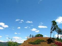 翰林大学校园风景