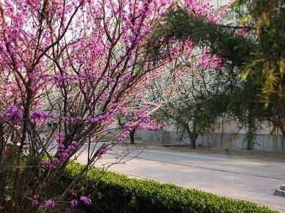 郑州大学软件技术学院