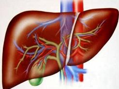 慢性充血性脾肿大