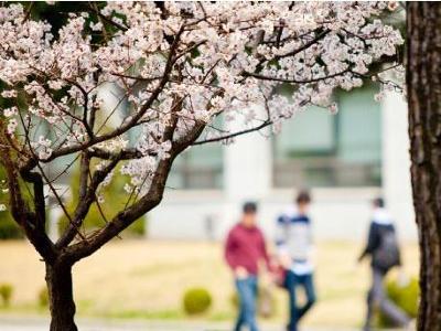 忠北大学