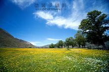 新都桥风景