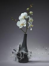 子弹穿过花瓶的绝美毁灭瞬间