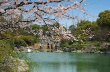 上海植物园