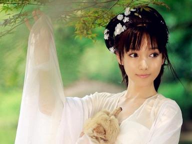 中国第一人造美女刘诗涵